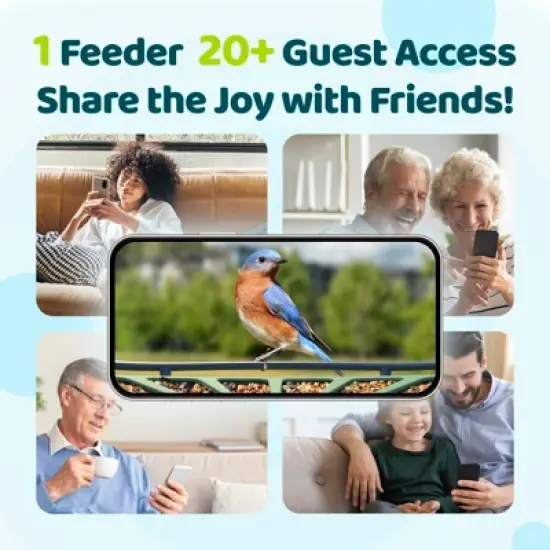 Birdfy Smart Bird Feeder with Camera, 2K Portrait & 1080P Wide-Angle, AI Identifies 6000+ Birds, Weatherproof image {4}