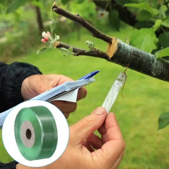 Unique Bargains Clear Garden Stretchable Grafting Tapes Green image {4}