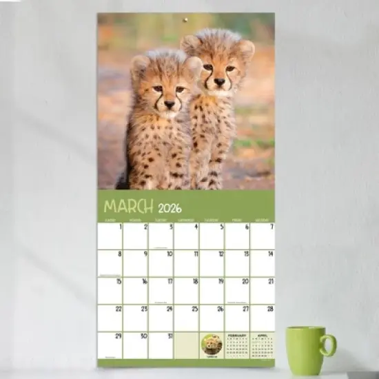 TF Publishing 13.5"x14.5" 2026 Baby Animals Wall Calendar image {2}