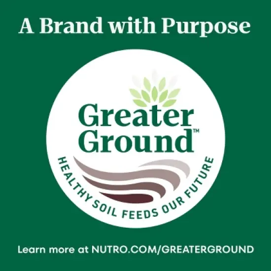 Nutro Peanut Butter Flavor Crunchy Training Treats Dog Treats image {10}