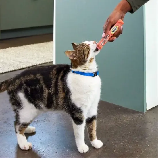 Temptations Creamy Puree with Salmon Lickable Squeezable Adult Cat Treats image {3}