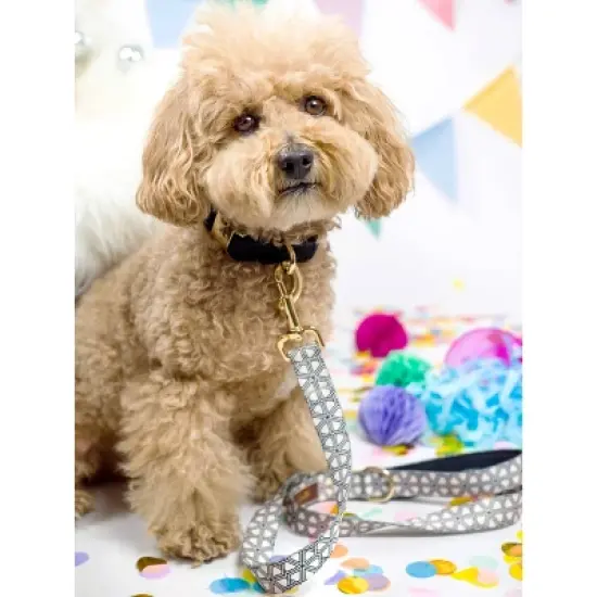 Pink Papyrus Avery Dog Leash image {2}