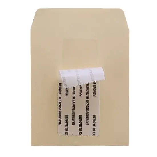 Hygloss Bright Sticky Back Library Pockets, Manila, Pack of 300 image {1}