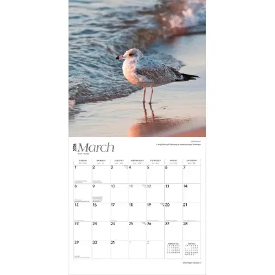 BrownTrout Michigan Nature 2026 12"x24" Hanging Square Wall Calendar Plastic-Free image {2}