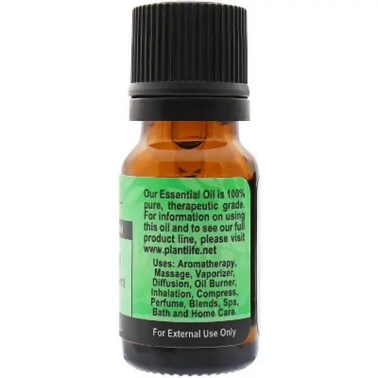 Plantlife Marjoram Aromatherapy Essential Oil &ndash; 100% Pure, Therapeutic Grade, No Additives or Fillers, 10 ml image {1}