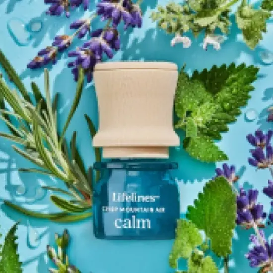 2pk Grounding Stones - Meditative Fidget Collection plus Essential Oil Blend - Lifelines image {2}