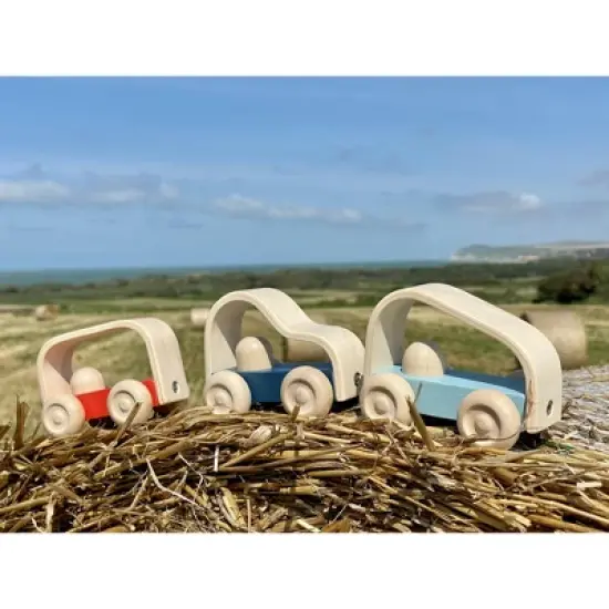 Plantoys| Vroom Car image {8}