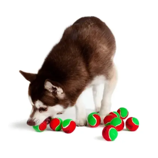 Midlee Filled Dog Stocking- Reindeer Antlers and 10 Mini Tennis Balls image {5}