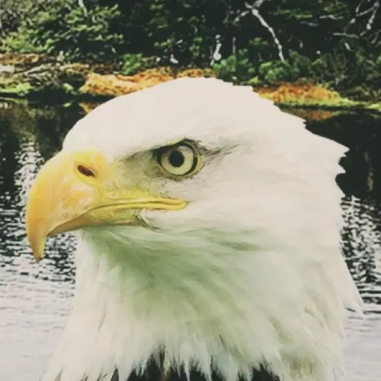 Commonwealth Seascapes Light Filtering Enhance Living Space with Satiny Look Grommet Outdoor Panel Pair, Indigo image {3}