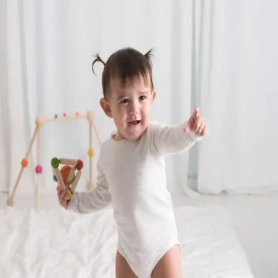 Plantoys| Triangle Clutching Toy image {9}