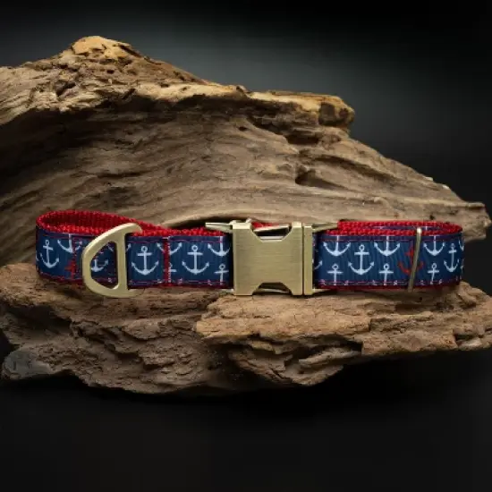 Country Brook Petz Signature Dog Collar Collection image {7}