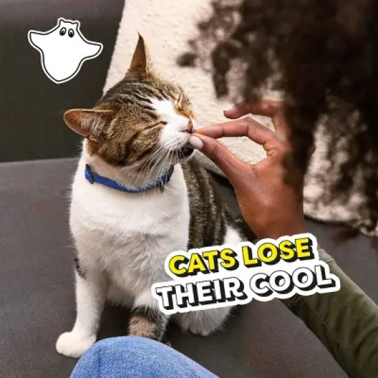 Temptations Creepy Catnip Haunted House Halloween Cat Treats - 16oz image {8}