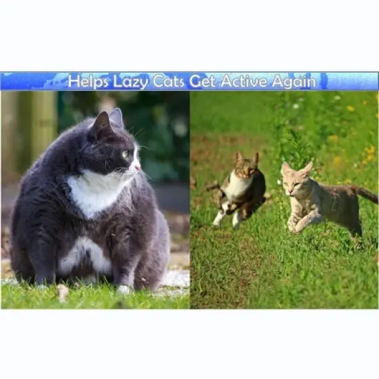 5 Star Super Deals Interactive Cat Treat Puzzle Feeder Toy - Adjustable Slow Food Dispenser with Playful Feline Ball Game & Rattle Ball Wand image {6}