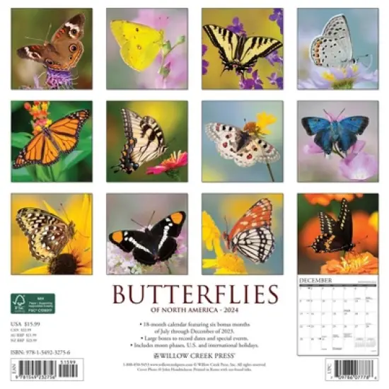 Willow Creek Press 2024 Wall Calendar 12"x12" Butterflies image {1}