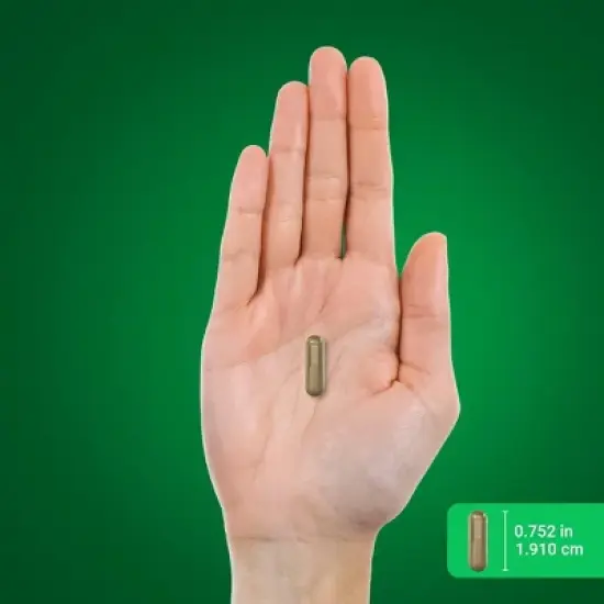 Piping Rock Wormwood 430 mg | 200 Capsules image {6}