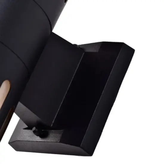 C Cattleya 2-Light Black Die-Cast Aluminum Cylinder Outdoor Wall Sconce image {3}