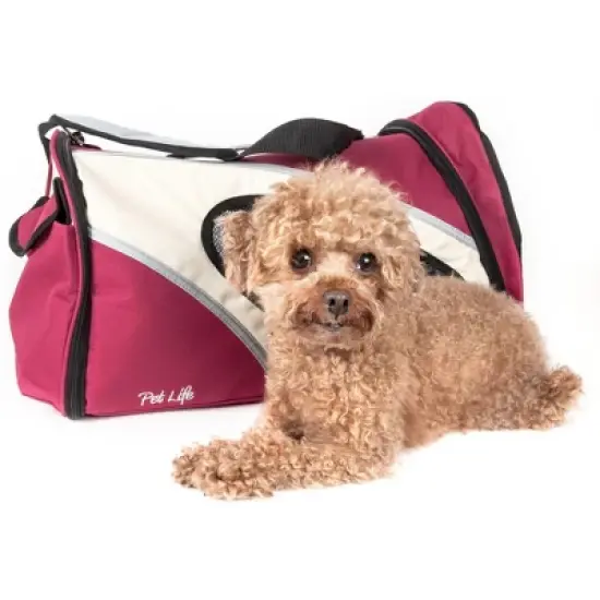 Cesicia Air Collapsible Pet Carrier image {5}