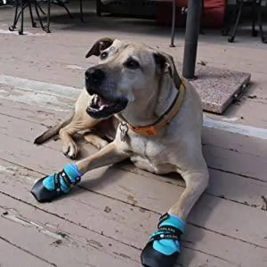 Healers Urban Walker Dog Boots - Teal image {4}