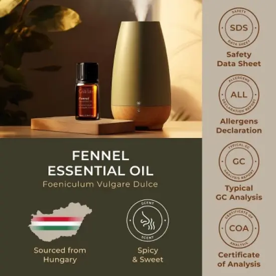 Gya Labs Fennel Essential Oil 0.34 Fl Oz - Sweet Peppery Refreshing Scent image {5}