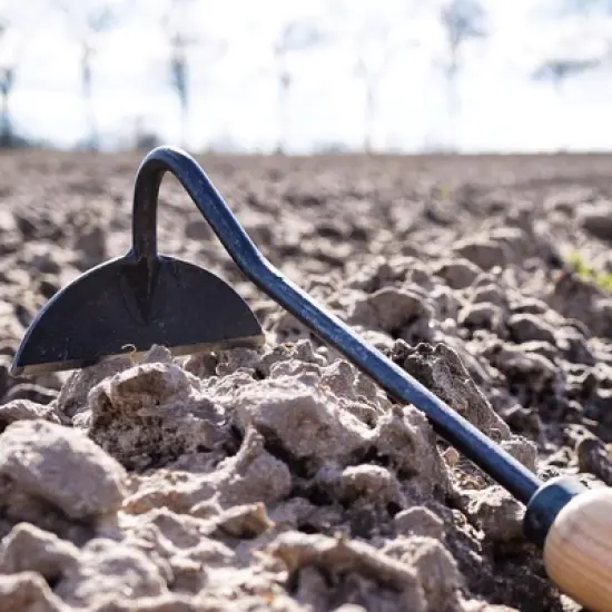 DeWit Onion Hoe &ndash; Precision Weeding & Chopping Tool with Extended Reach image {2}