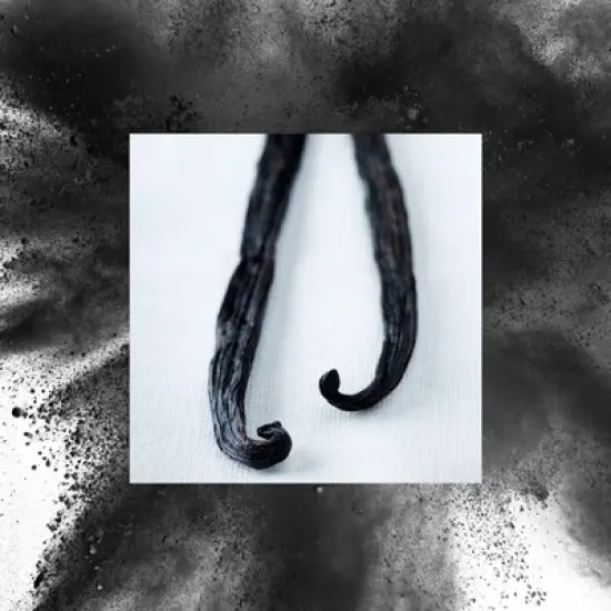 Raw Sugar Simply Deo Solid Deodorant - Vanilla Bean + Charcoal - 2.7oz image {2}