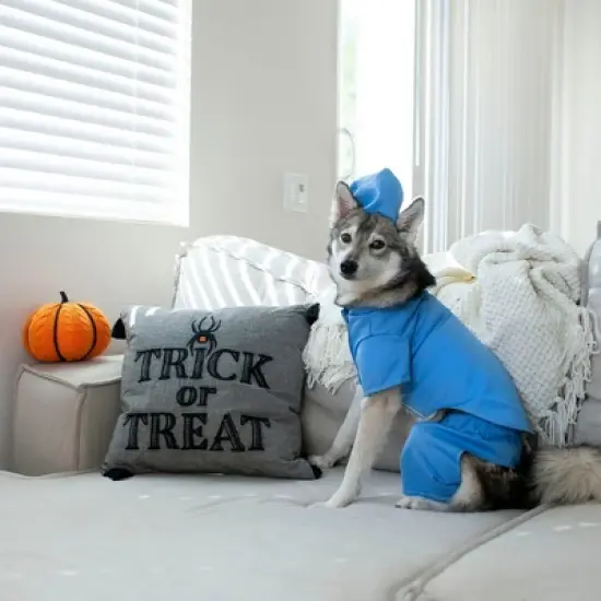 Midlee Scrubs Dog Costume (Medium) image {1}