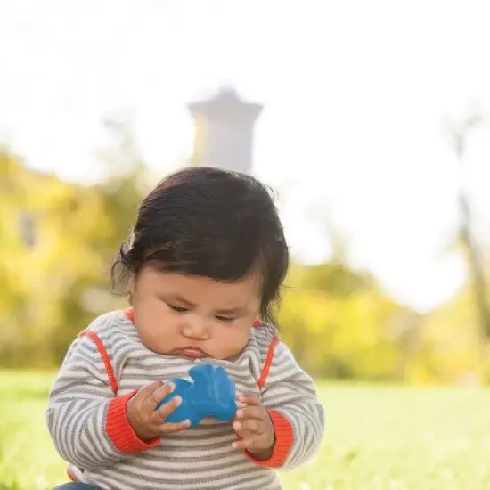 Infantino Go gaga! Balls, Blocks & Buddies image {6}