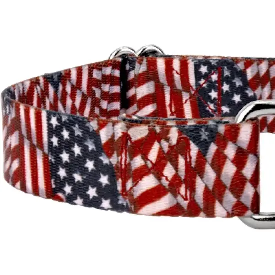 Country Brook Petz Patriotic Tribute Martingale Dog Collar and Leash image {3}
