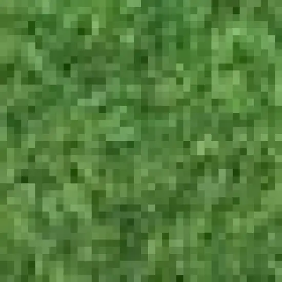 PoochPad Indoor Potty Replacement Grass for Dogs - 2ct image {2}