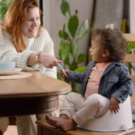 Ingenuity Simplicity Toddler Booster Seat - Gray image {7}