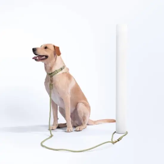 AWOO Infinity Multifunctional Recycled Dog Leash - 7ft image {6}