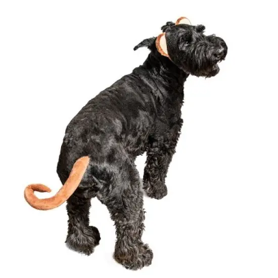 Midlee Monkey Headband & Tail Dog Costume image {1}