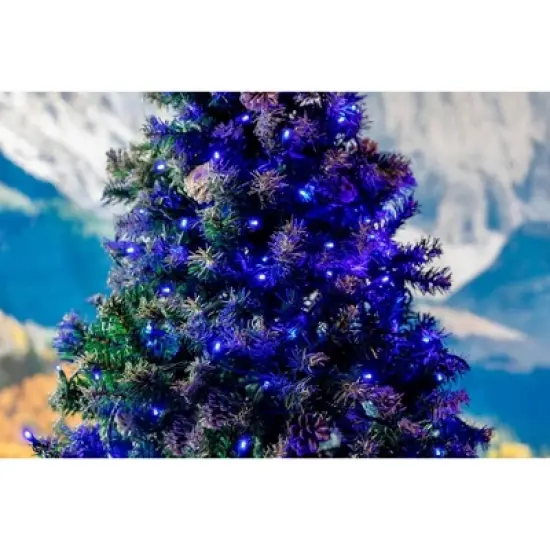 Novelty Lights LED Christmas String Lights 70 Mini Bulbs (Green Wire, 35 feet) image {5}