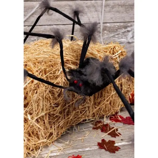 HalloweenCostumes.com One Size Fits Most Halloween Hairy Grey Spider Outdoor & Indoor Decoration | Posable Fury Spider Toy Display,  Black/Gray image {4}