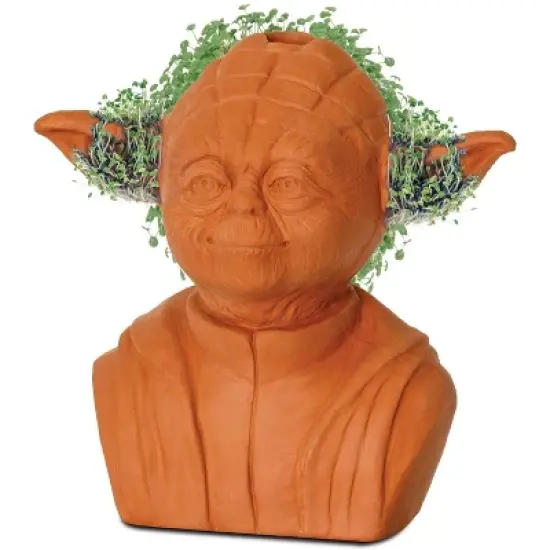 Joseph Enterprises, Inc Star Wars Yoda Chia Pet Decorative Planter image {1}