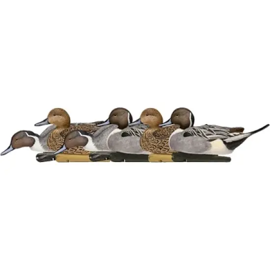 Avian X Topflight Pintails Pack of 6 Floating Decoys image {2}