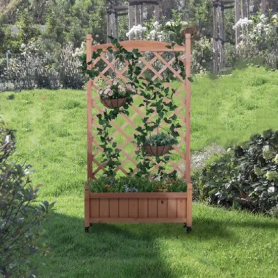 Whisen 2-Pack Raised Garden Bed with Trellis & Climbing Racks image {2}