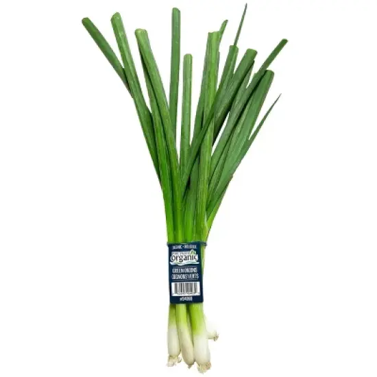 Fresh Organic Green Onion Bunch - 5.5oz image {4}