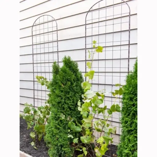 Gardeners Supply Company Jardin Flower Trellis | Sturdy Tall Garden Trellis for Climbing Plants, Clematis & Other Vine Flowers | Easy to Install image {2}