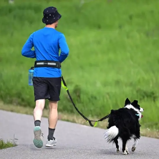 PetAmi Hands Free Dog Leash, Adjustable Waist Belt for Large Dog Walking Up to 125 lbs, Reflective Safety Bungee Running Hiking Jogging Biking image {6}