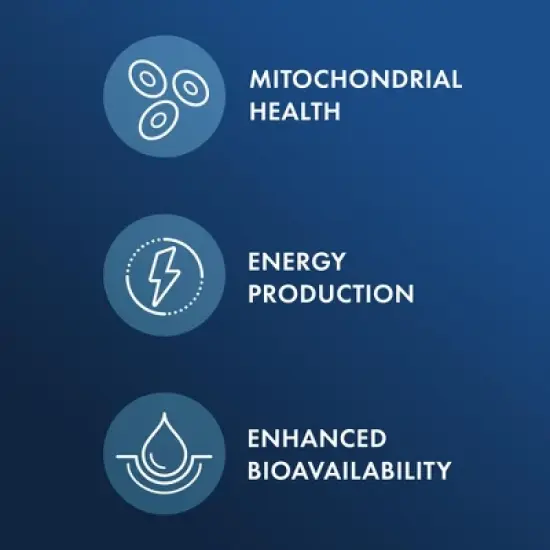 Dr. Mercola Berberine and MicroPQQ Advanced, 30 Servings (30 Capsules), Dietary Supplement, Supports Immune and Organ Health, Non GMO image {3}