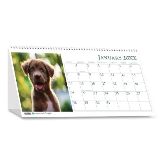 Earthscapes Recycled Desk Tent Monthly Calendar, Puppies Photography, 8.5 x 4.5, White Sheets, 12-Month (Jan to Dec): 2026 image {1}