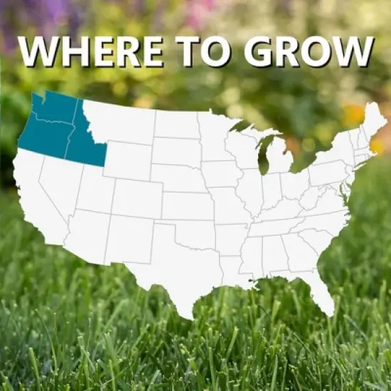 Jonathan Green Black Beauty Pacific Northwest Grass Seed Mixture image {2}