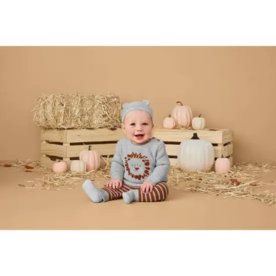 Carter's Just One You&reg;️ Baby Boys' 3pc Lion Sweater & Bottom Set - Gray image {2}