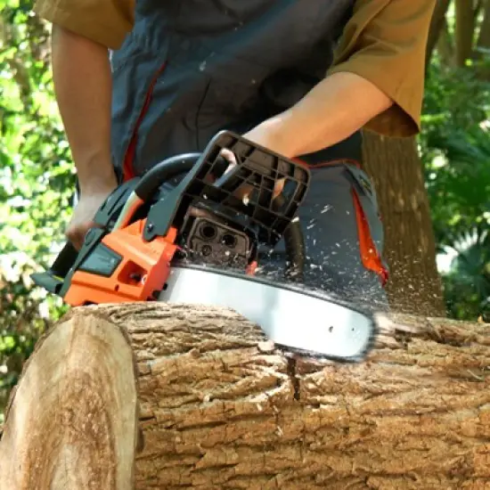 VEVOR Gas Chainsaw, 52CC 18" 2.55HP, Gasoline Powered Chain Saw, Handheld Cordless Petrol Chainsaws for Tree Wood Branch Cutting, Orange image {1}