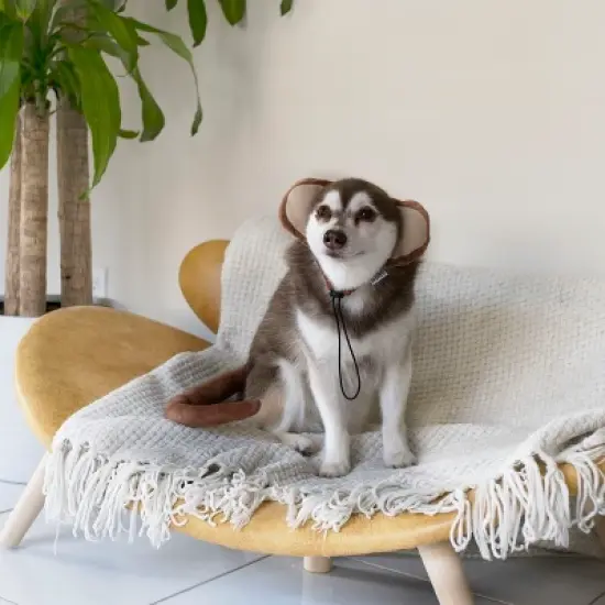 Midlee Monkey Headband & Tail Dog Costume image {3}
