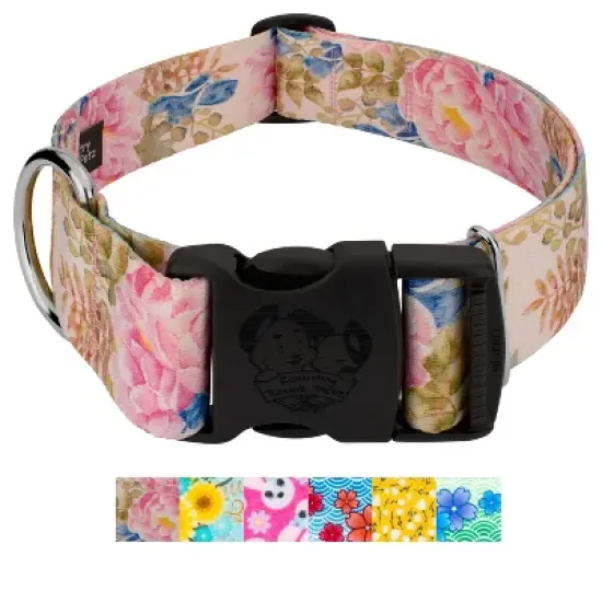 Country Brook Petz HossFit Jr Wide Deluxe Dog Collar - Spring Collection image {9}