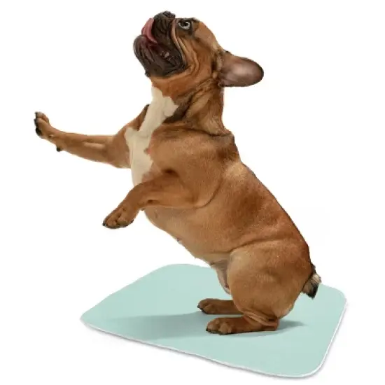 MaxProtect Reusable Pee Pads For Dogs, Training Underpads, Heavy-Duty Absorbency - 34" x 36" image {3}