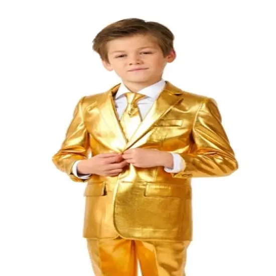 OppoSuits - Shiny Gold And Silver Boys Suits image {2}