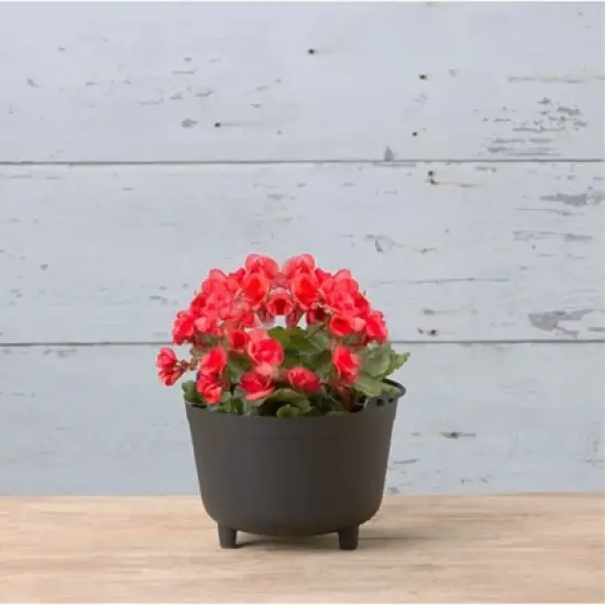 Novelty Antique-Inspired Kettle Plastic Indoor/Outdoor Planter image {5}